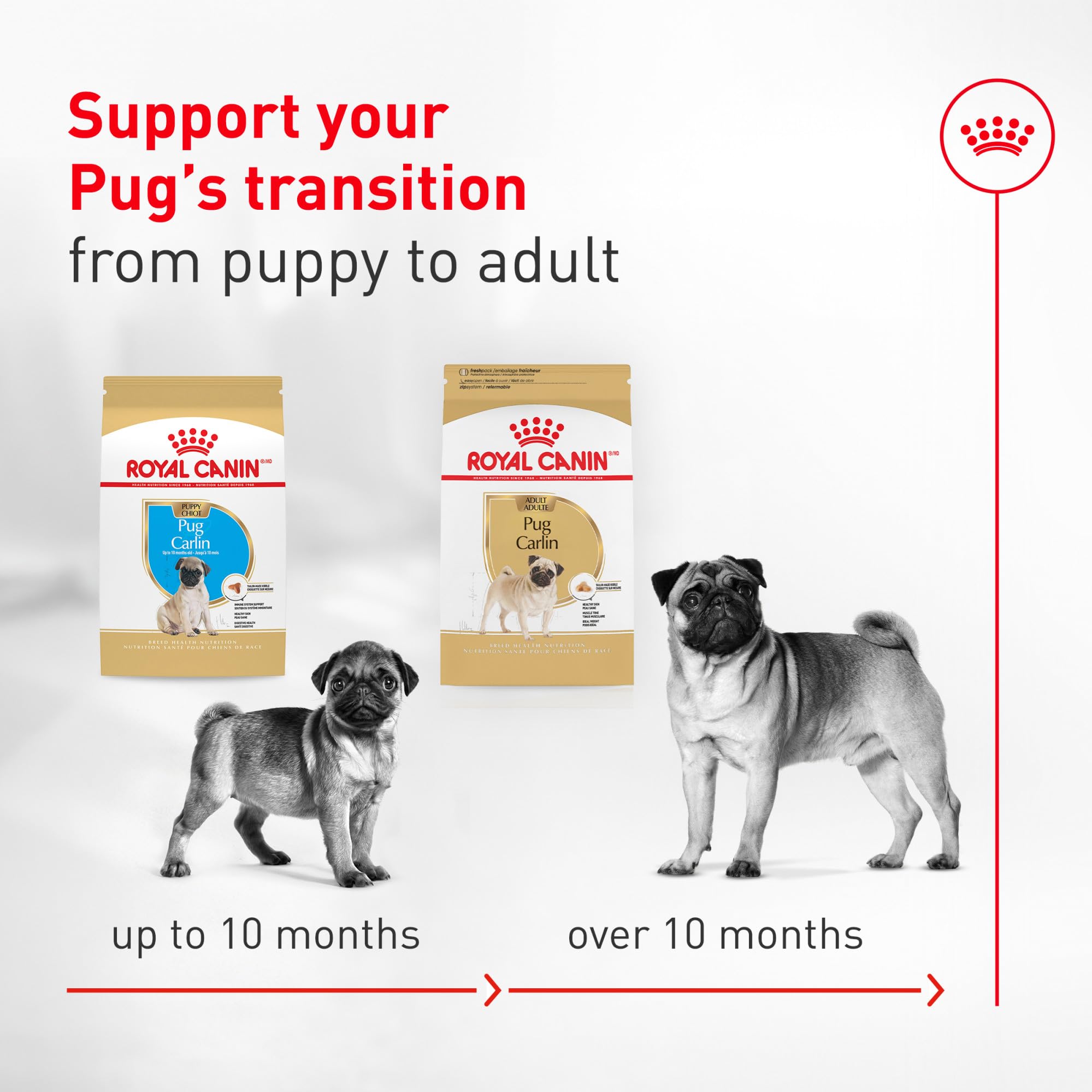 ROYAL CANIN feeding guidelines label for correct portions