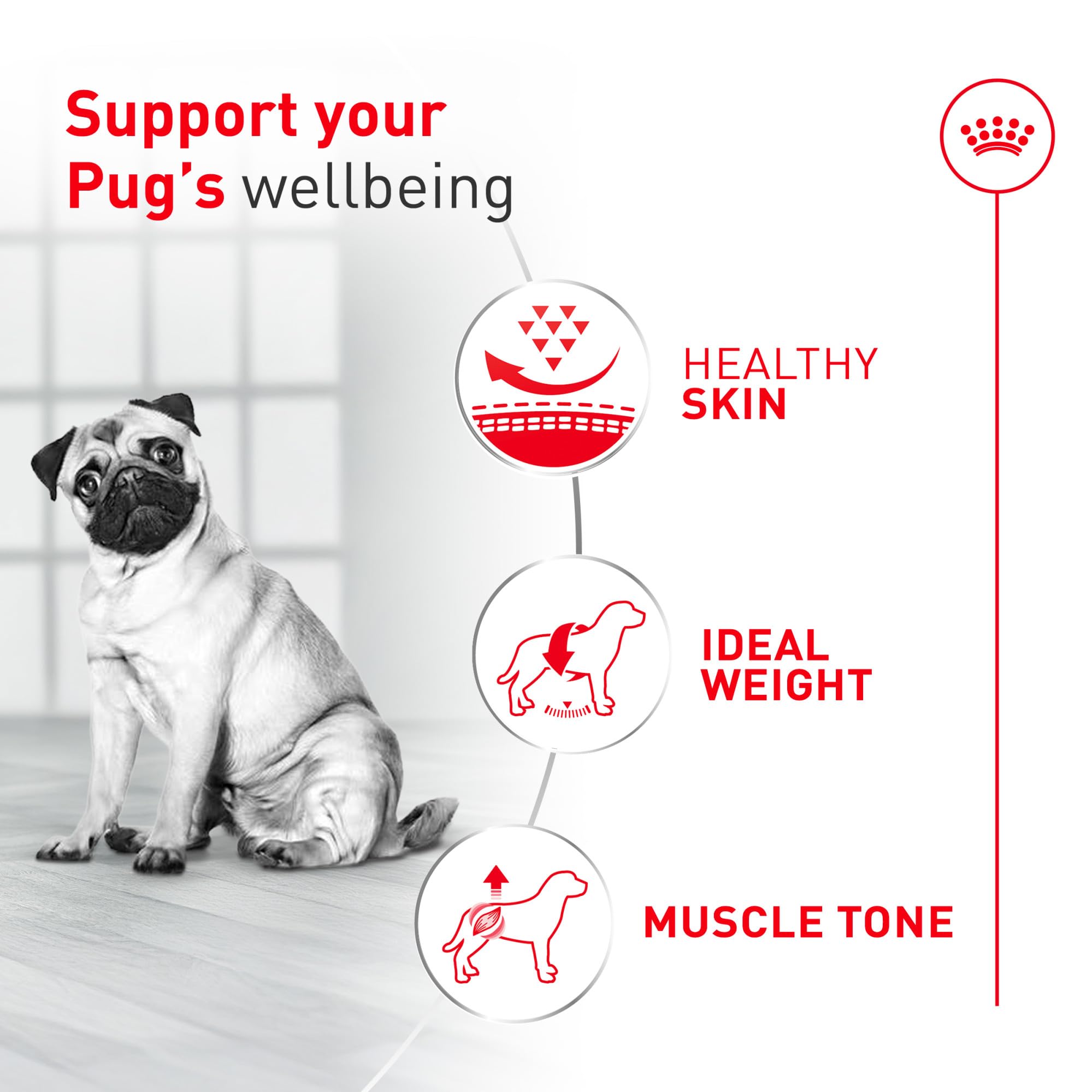 ROYAL CANIN ingredient bowl showing fish oil and proteins