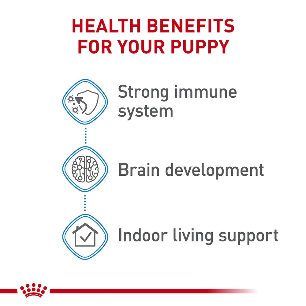 ROYAL CANIN puppy eating from bowl indoors supporting digestion and appetite