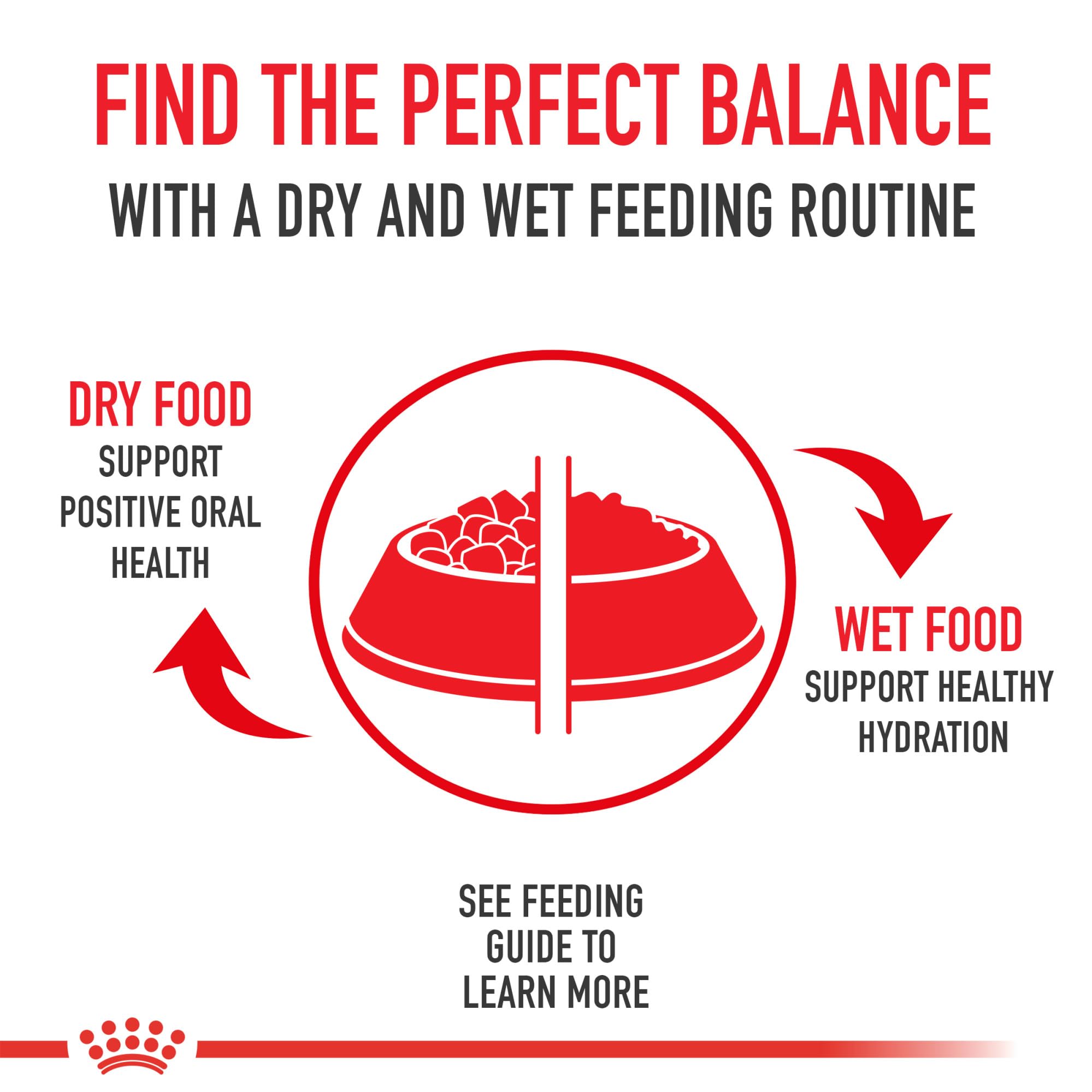 ROYAL CANIN bag label showing nutritional highlights like taurine and omega-3s for health