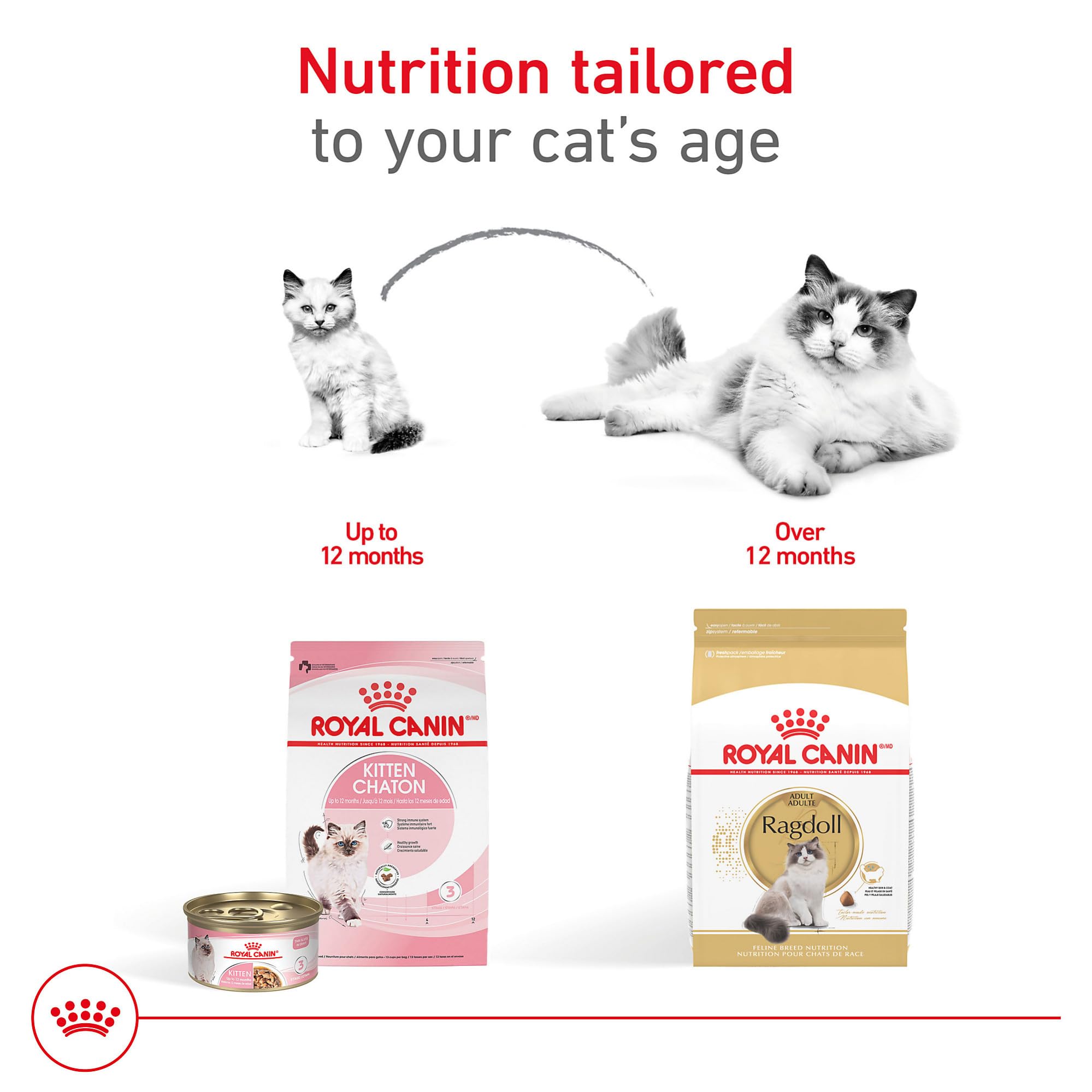 ROYAL CANIN feeding chart insert illustrating portion guidance to maintain ideal weight