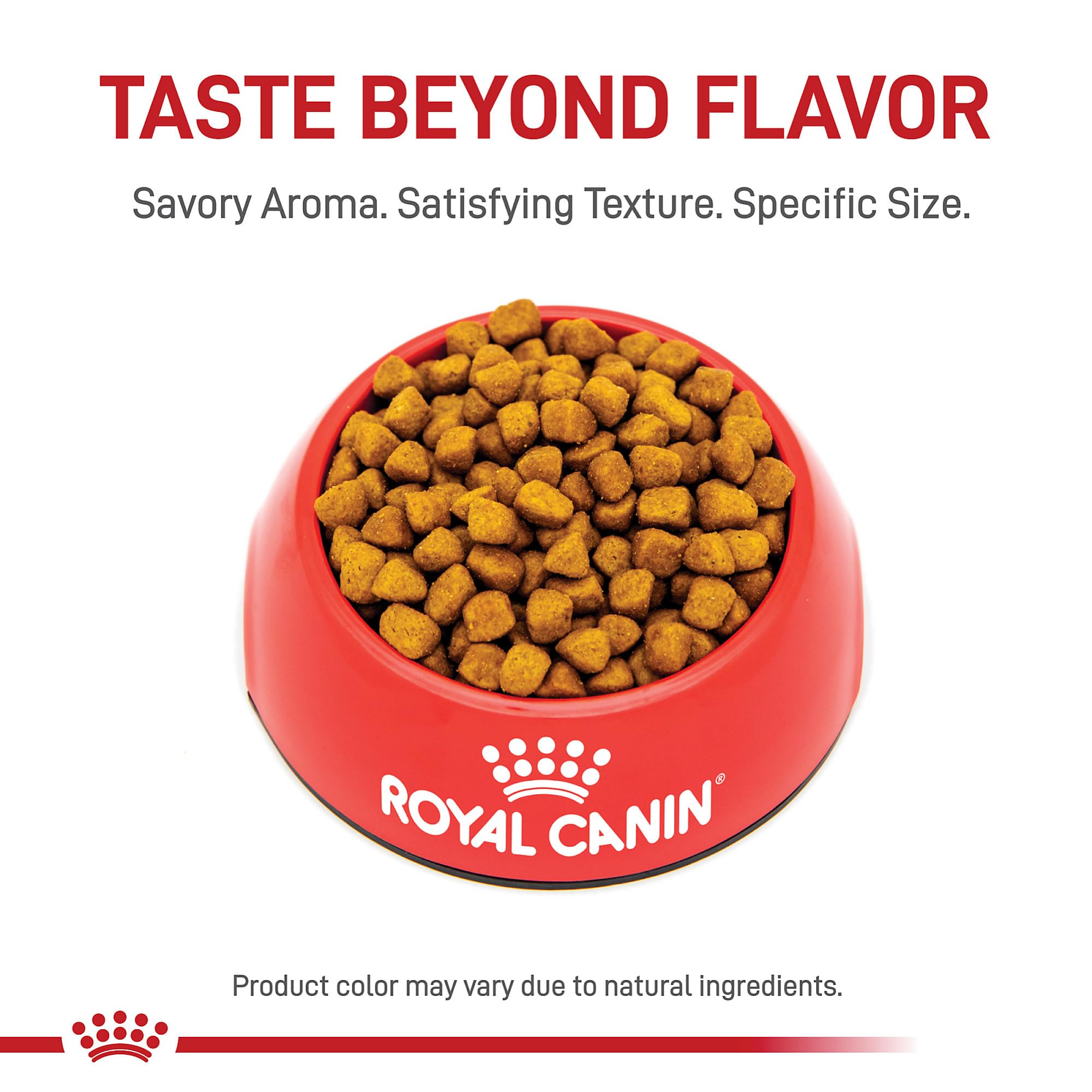 ROYAL CANIN close-up of pyramid kibble highlights texture and encourages thorough chewing