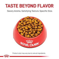 ROYAL CANIN close-up of pyramid kibble highlights texture and encourages thorough chewing