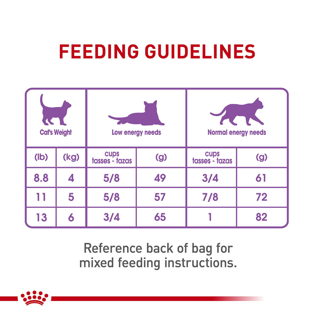 ROYAL CANIN 6 lb bag shown next to common household item for scale
