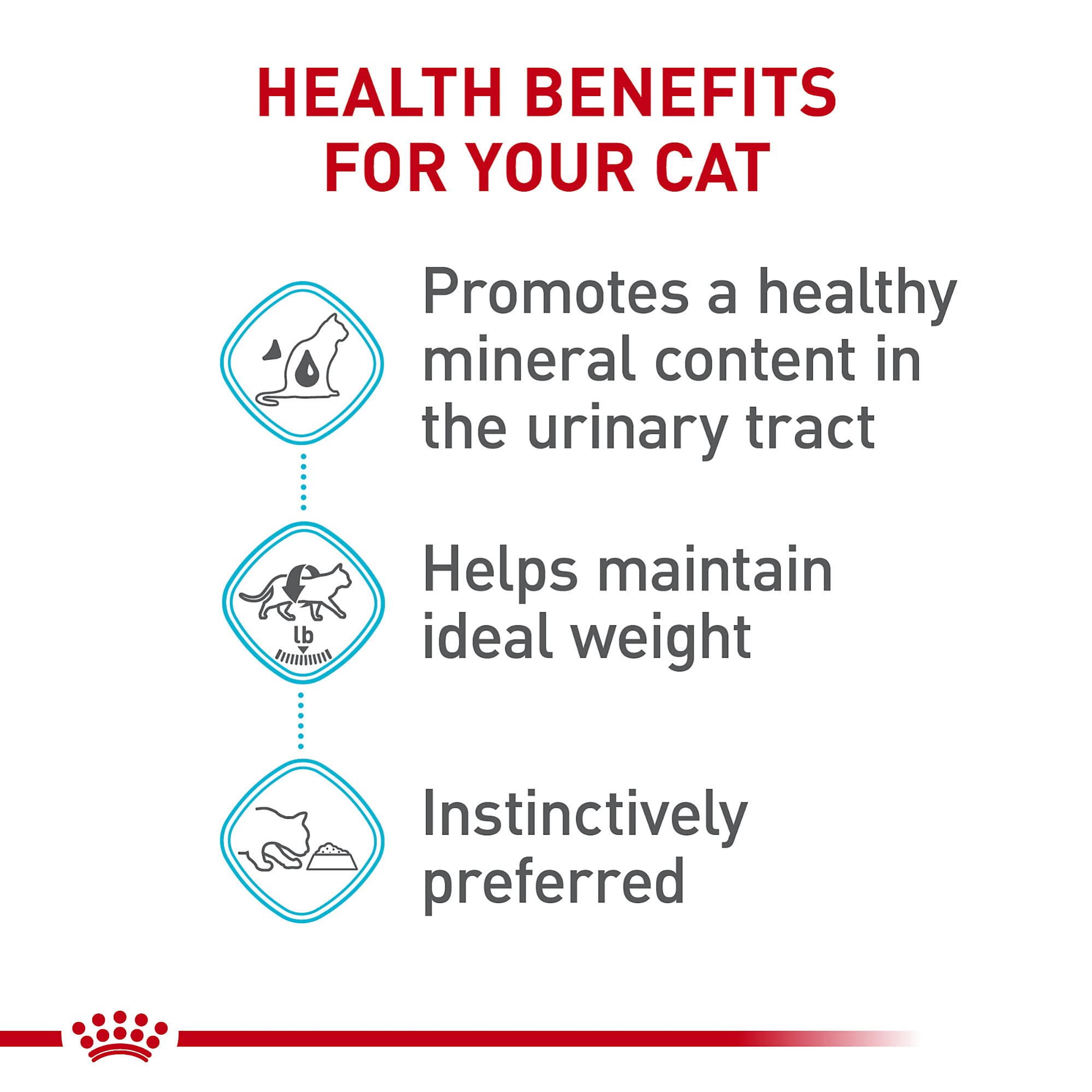 Royal Canin served in bowl illustrating easy feeding and appetite appeal