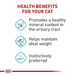 Royal Canin served in bowl illustrating easy feeding and appetite appeal