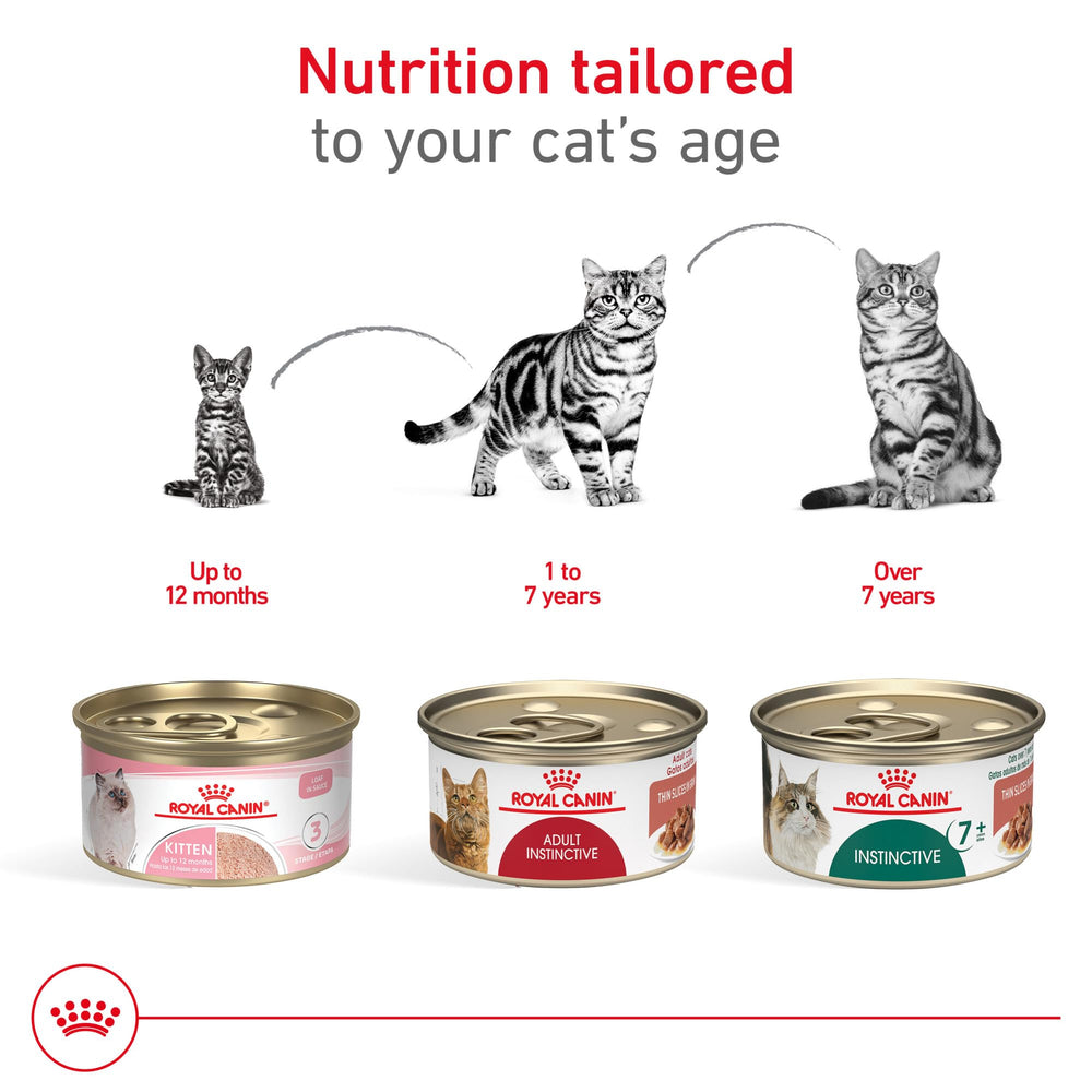 ROYAL CANIN 3 oz can next to a measuring tape showing compact single-serve size