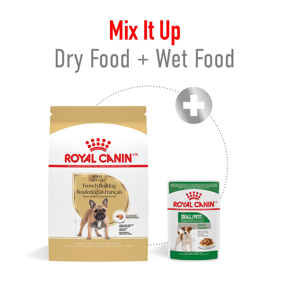 ROYAL CANIN skin and coat visual emphasizing support for skin barrier