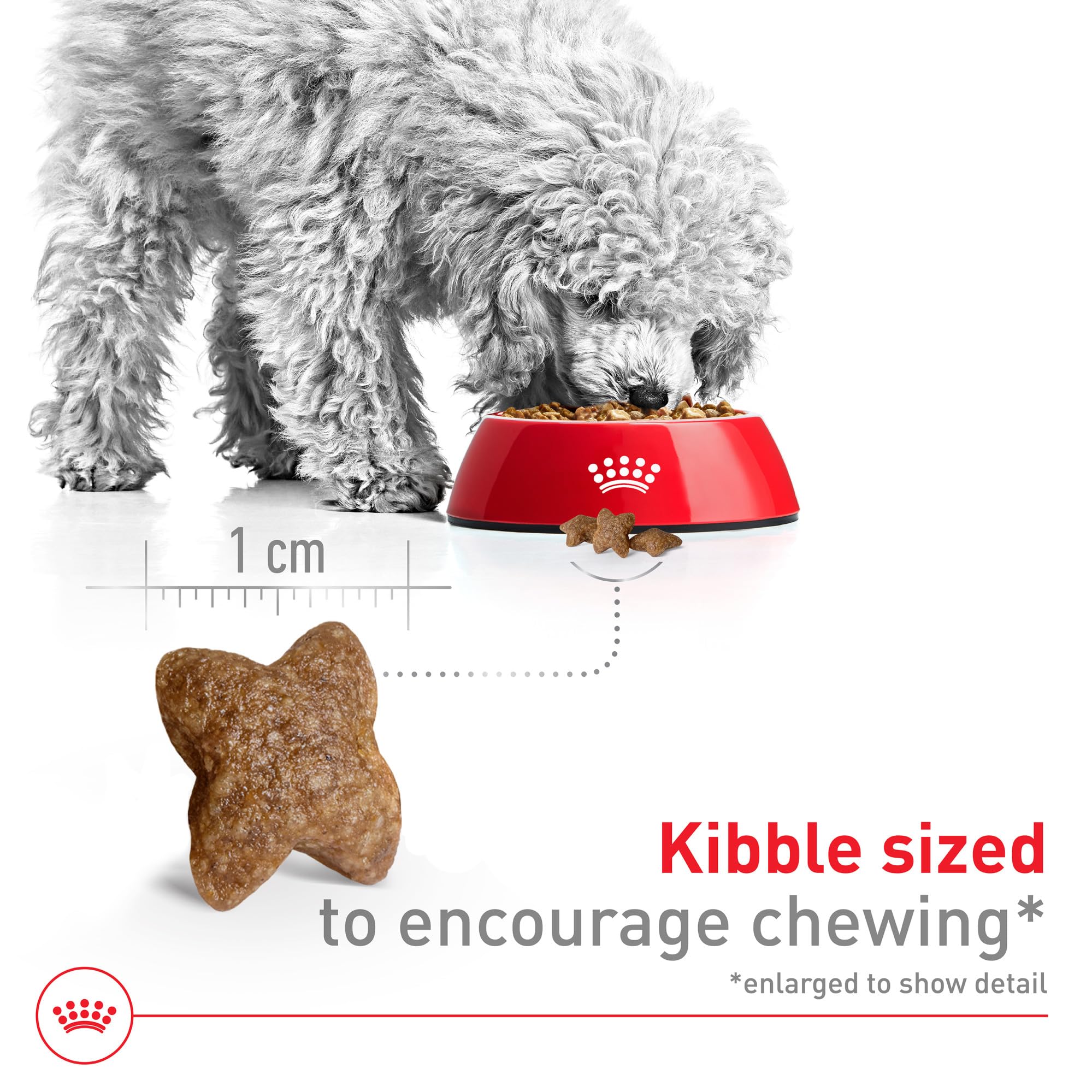 Royal Canin label detail highlighting nutrition and benefits
