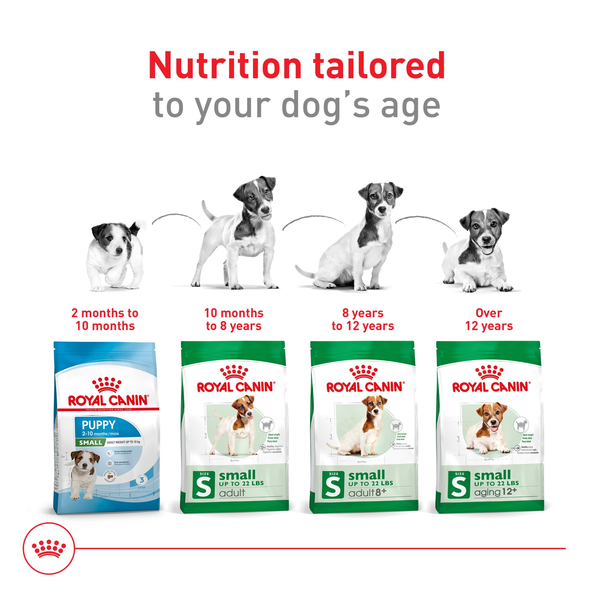 Royal Canin small dog eating kibble supporting satisfaction