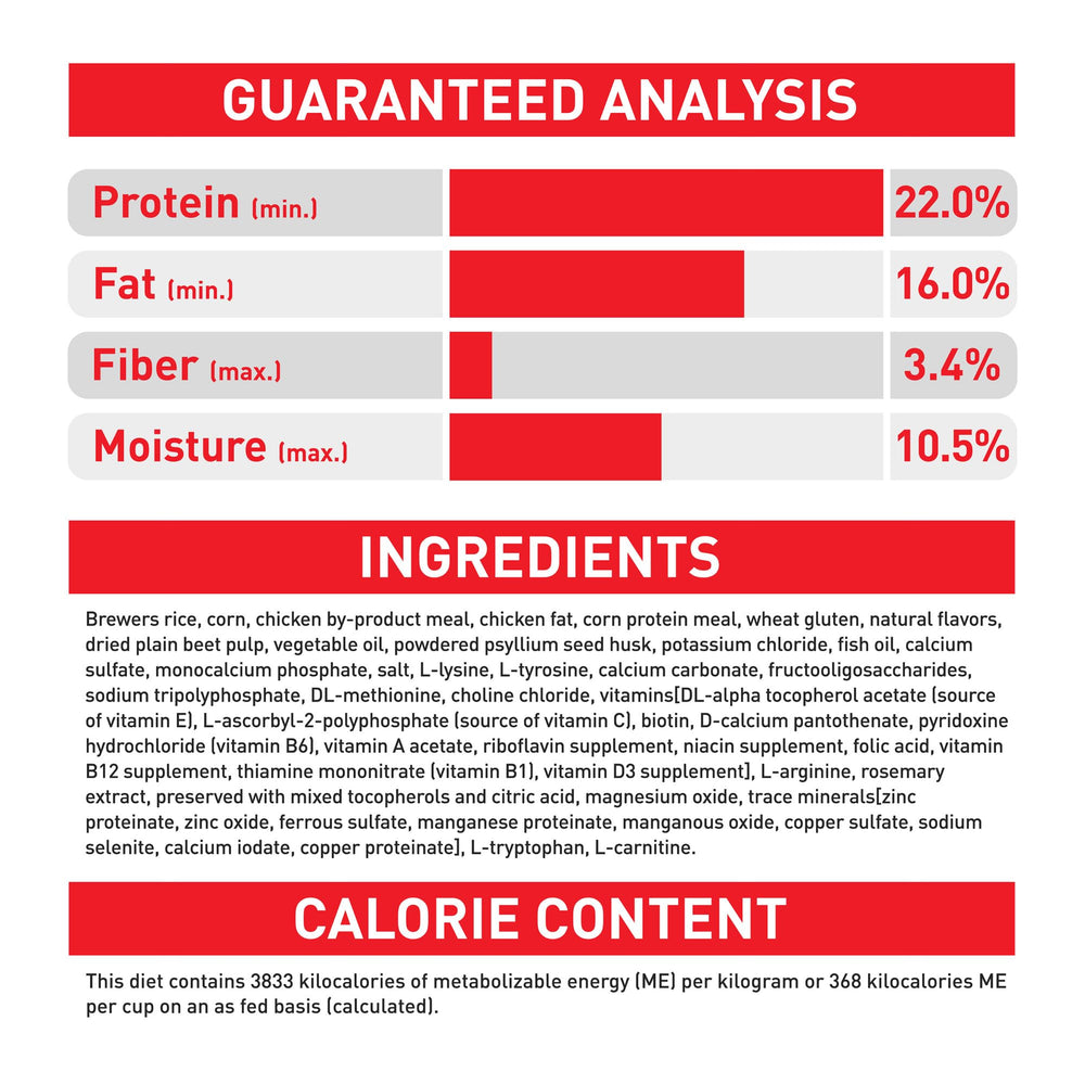 ROYAL CANIN small dog eating kibble showing high palatability