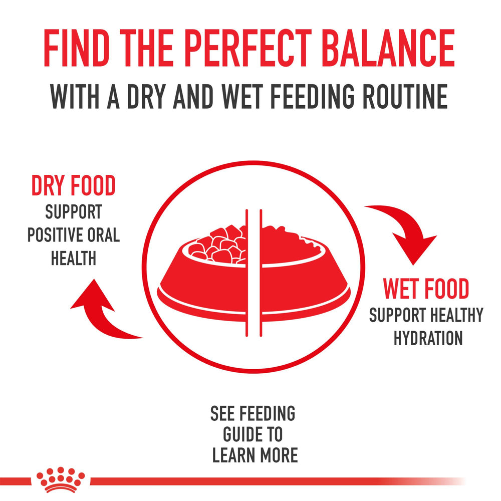 ROYAL CANIN ingredient blend visual highlighting digestible proteins