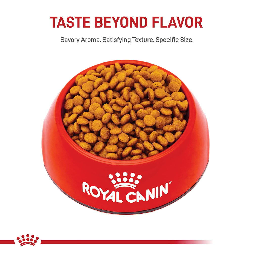 ROYAL CANIN compact 2.5 lb bag on kitchen counter for convenience