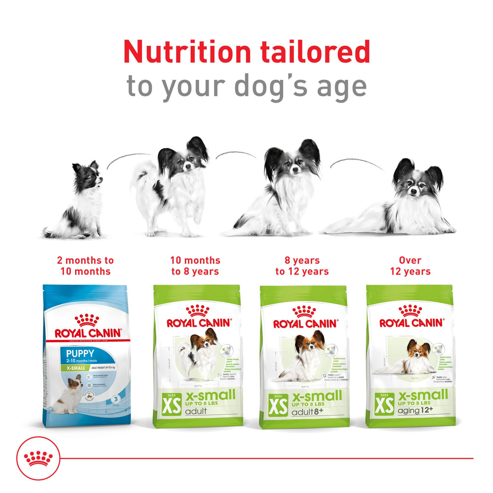 ROYAL CANIN kibble contacting small teeth to help clean surfaces