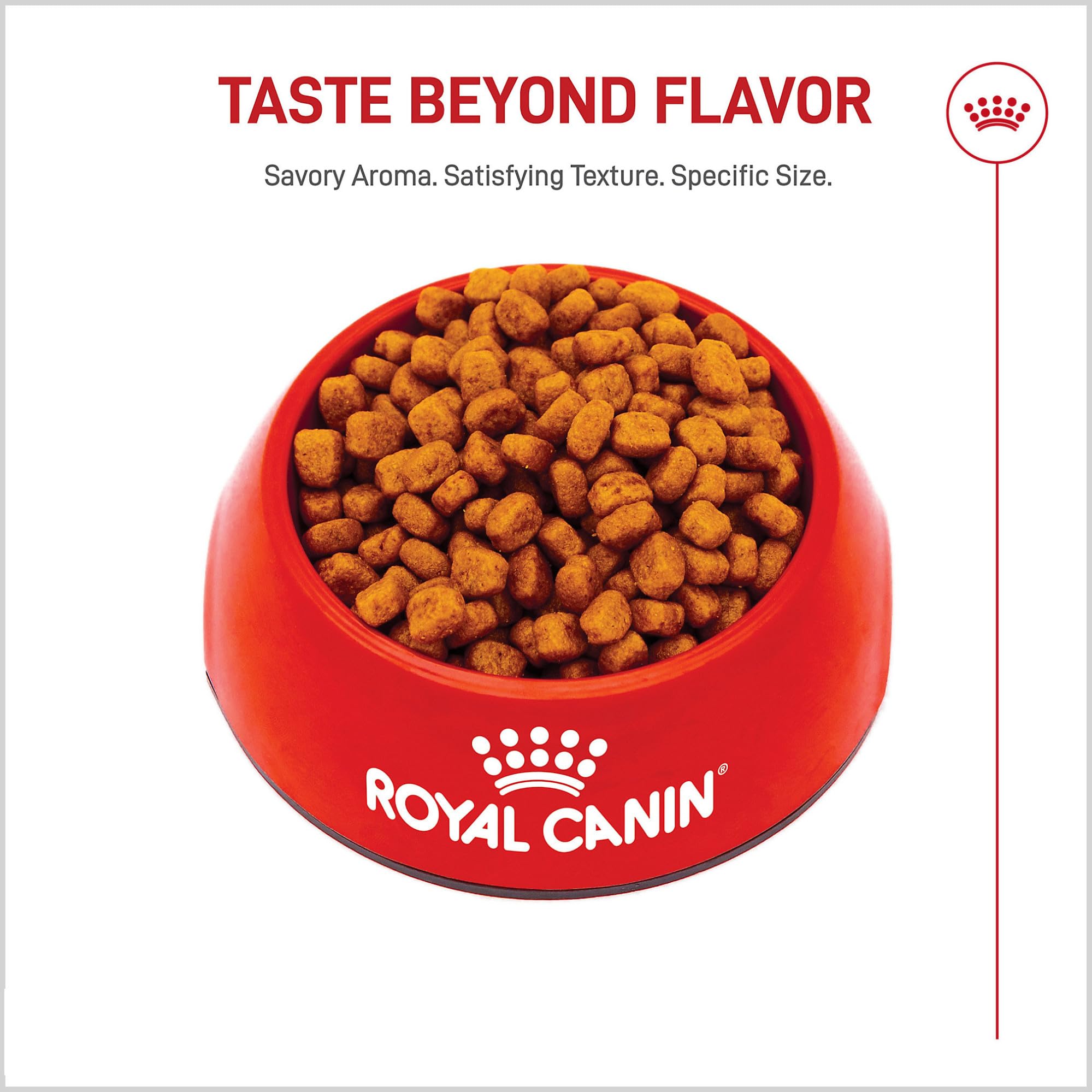 ROYAL CANIN 10 lb bag on store shelf indicating available retail sizing
