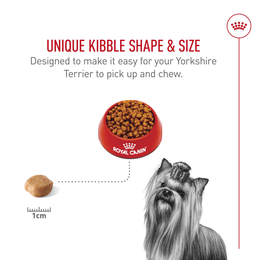 ROYAL CANIN Yorkie eating from bowl demonstrating palatability and comfort