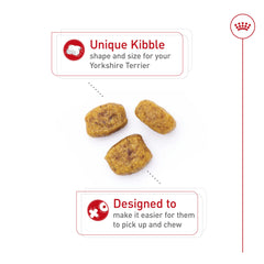 ROYAL CANIN close-up of kibble texture showing small shape for easy chewing