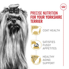 ROYAL CANIN kibble beside a coin to show size suited to Yorkshire Terriers