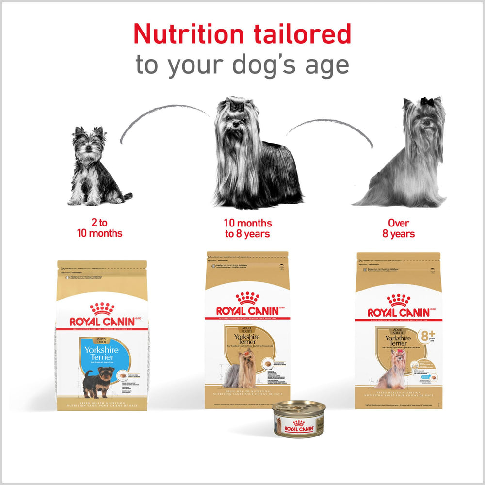 ROYAL CANIN packaging comparison from puppy to adult formulas for lifecycle