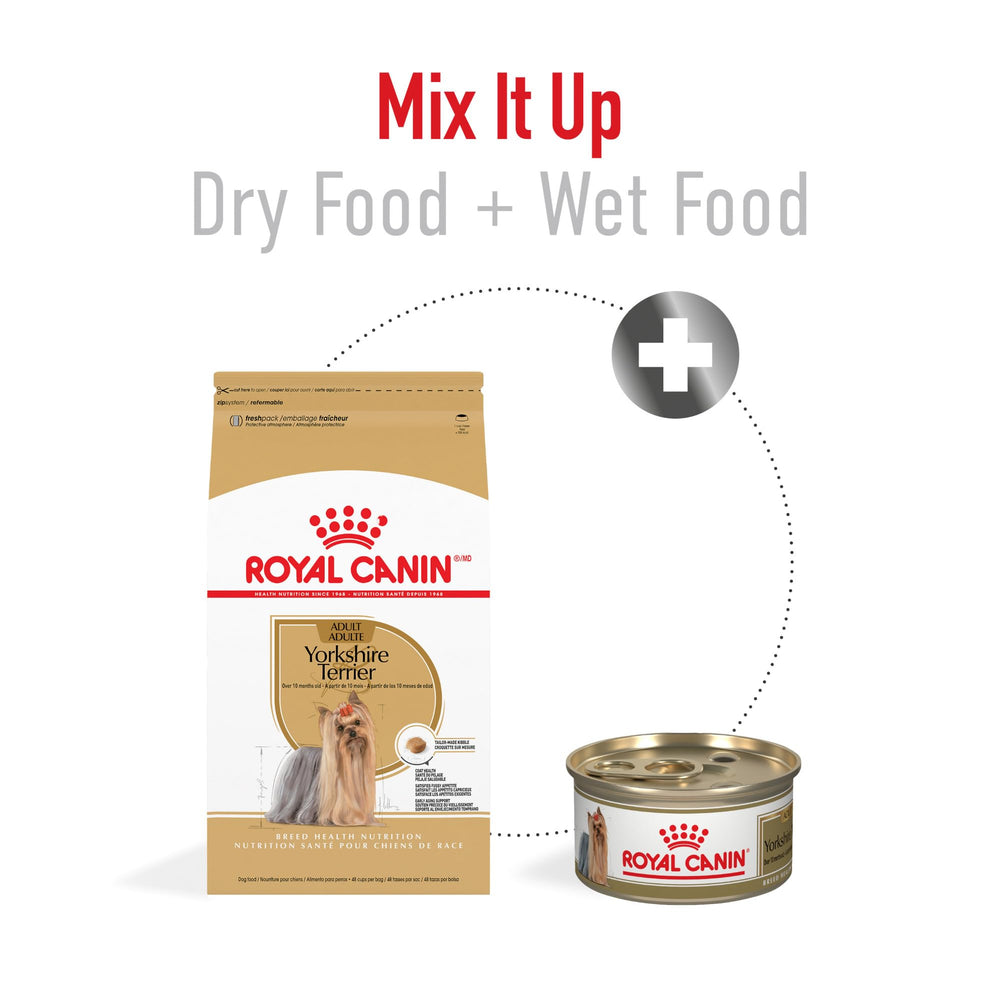 ROYAL CANIN dog chewing to show kibble helps reduce tartar buildup