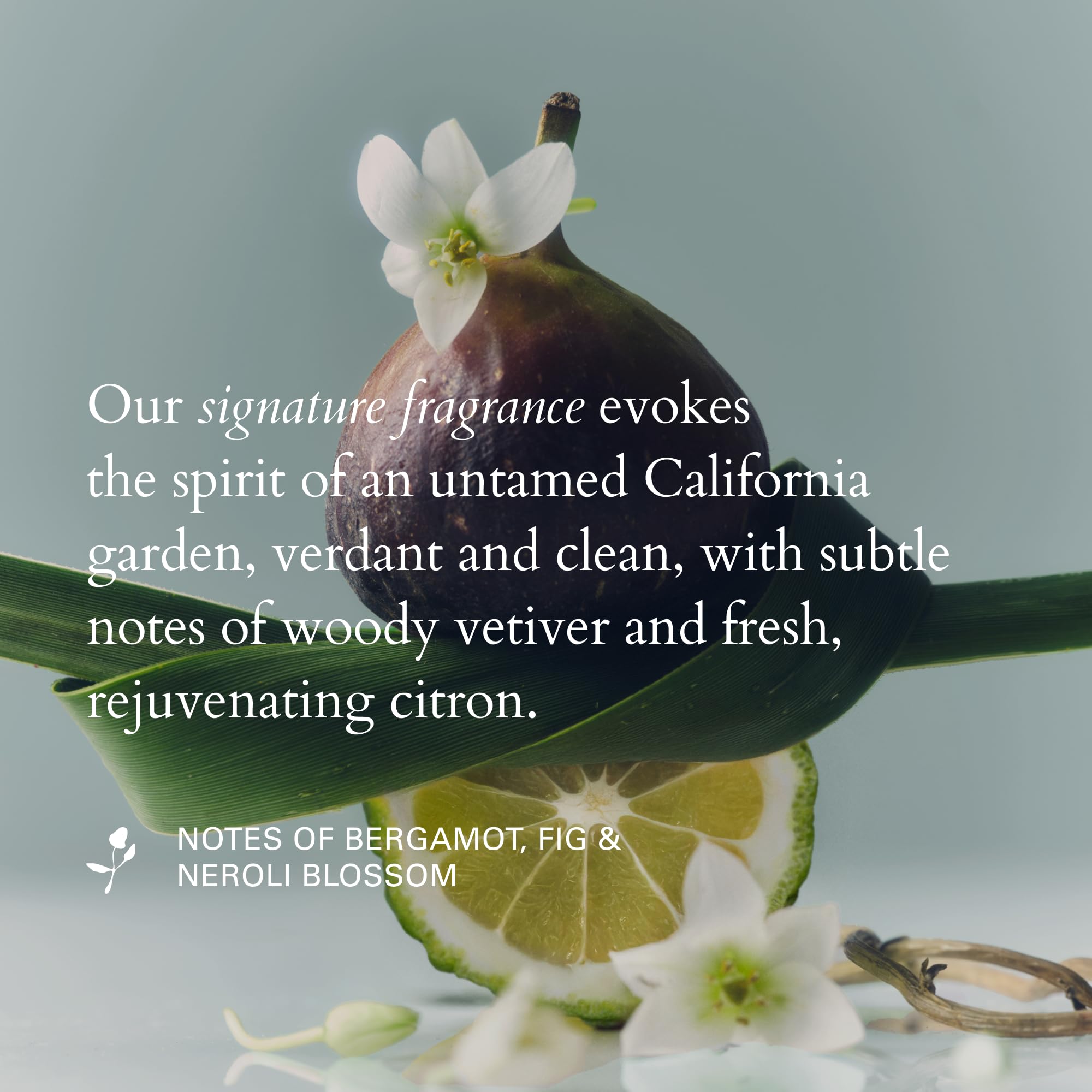 RŌZ label ingredients list close-up showing hyaluronic acid and red algae benefits