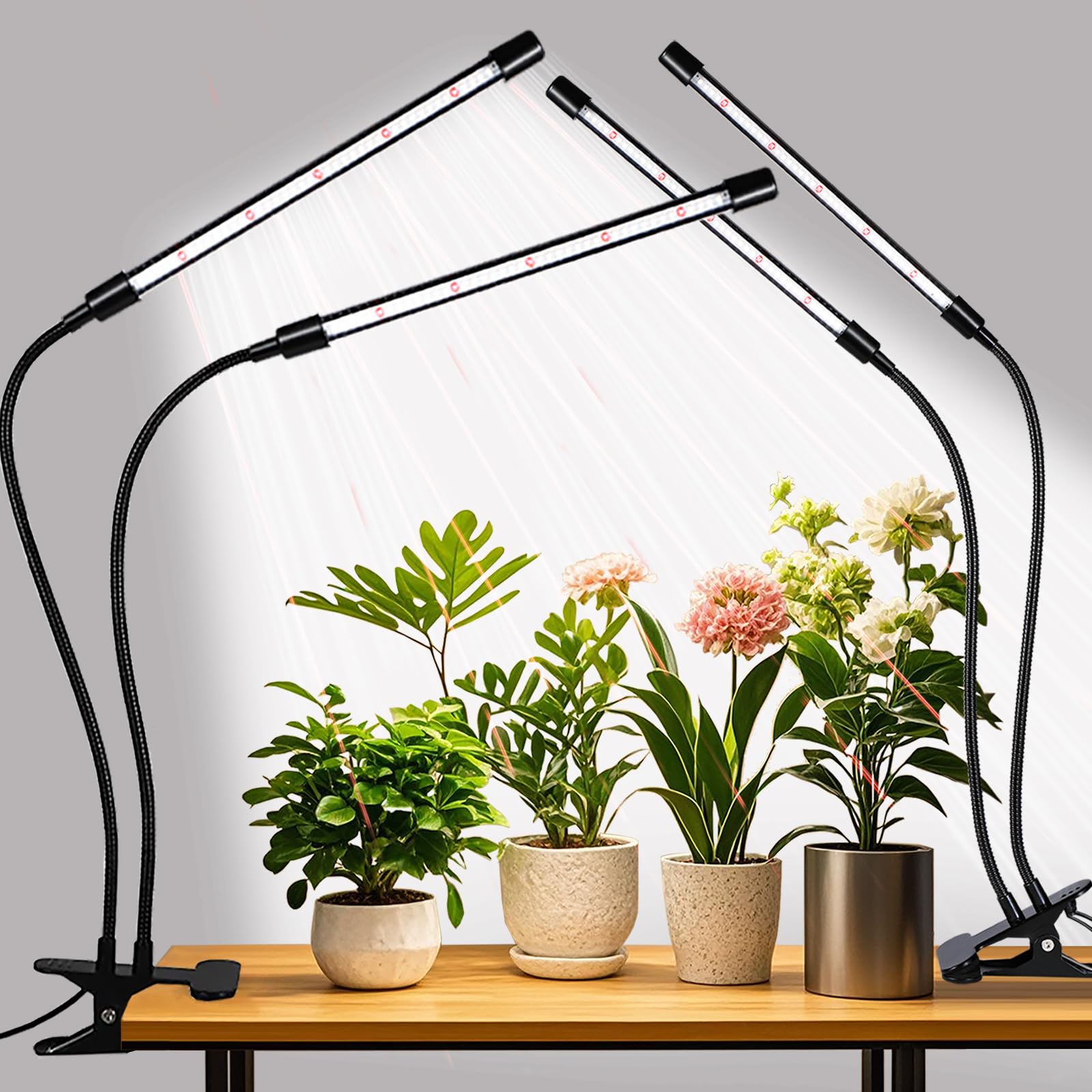RWNTAO front view of two-pack grow light kit showing compact packaged units and clamps for easy storage