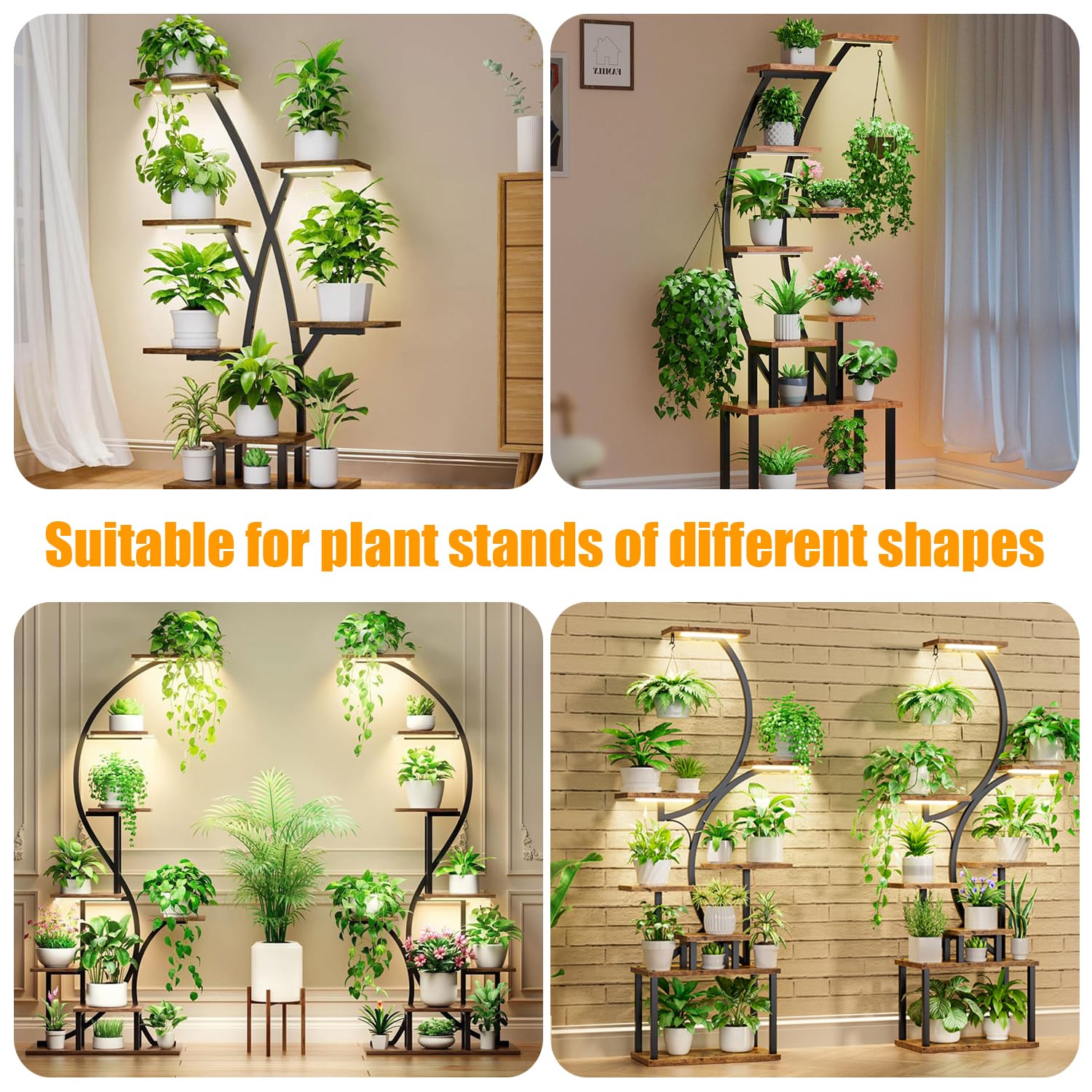 RWNTAO lighting a kitchen herb shelf demonstrating healthy growth