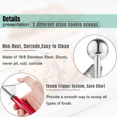 Saebye three sizes side-by-side with scale to show small medium large capacities for portion control