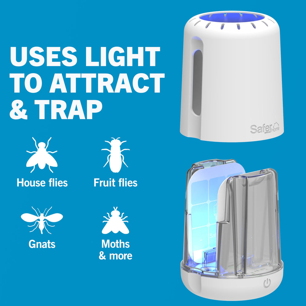 Safer Catch 360 near houseplants catching gnats and protecting foliage