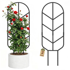 saffruff trellis front view showing clean modern support and stability