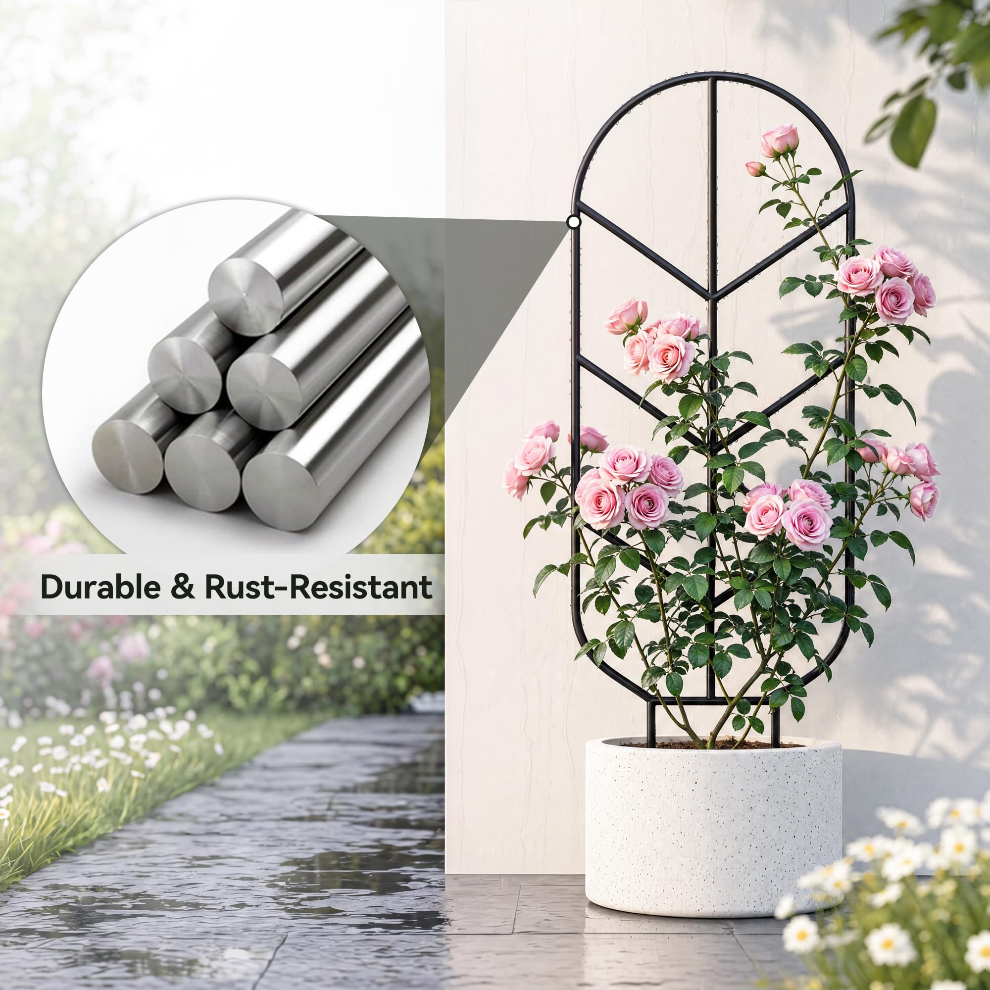 saffruff trellis with monstera demonstrating vertical training and space-saving
