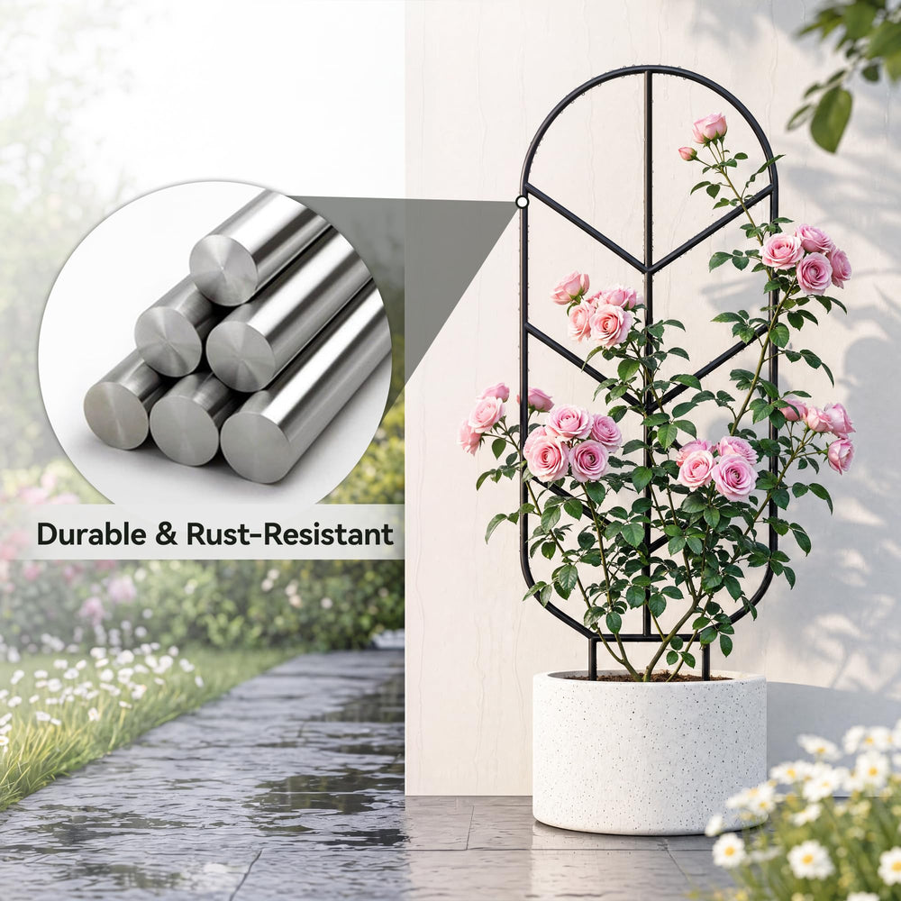saffruff trellis with monstera demonstrating vertical training and space-saving