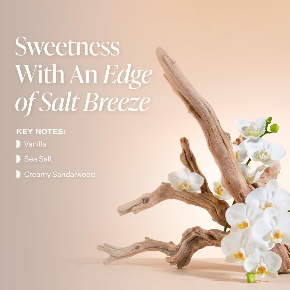 Saltair Salt Water Vanilla bottle showing coconut and vanilla aroma