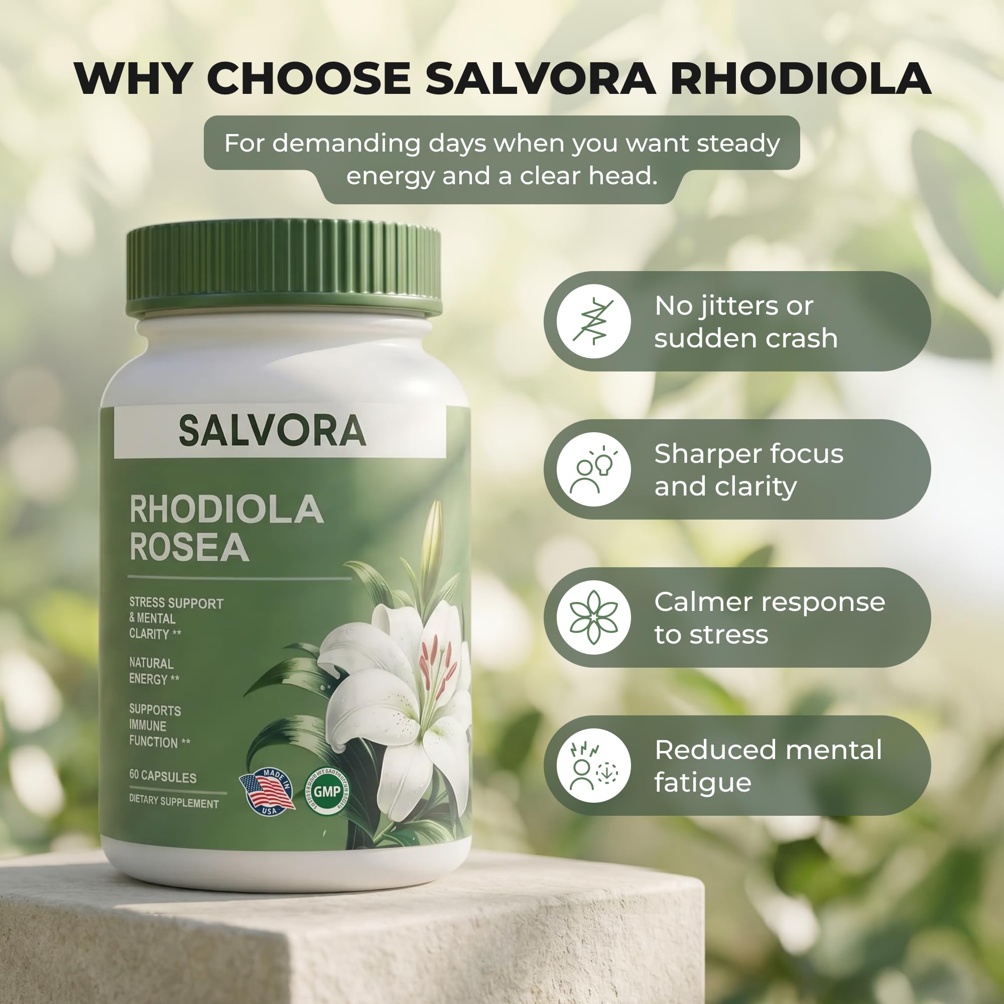 Salvora rhodiola root close-up highlighting organic golden-root source