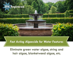 Sanco Industries liquid close-up showing texture and clarity for targeted algae control