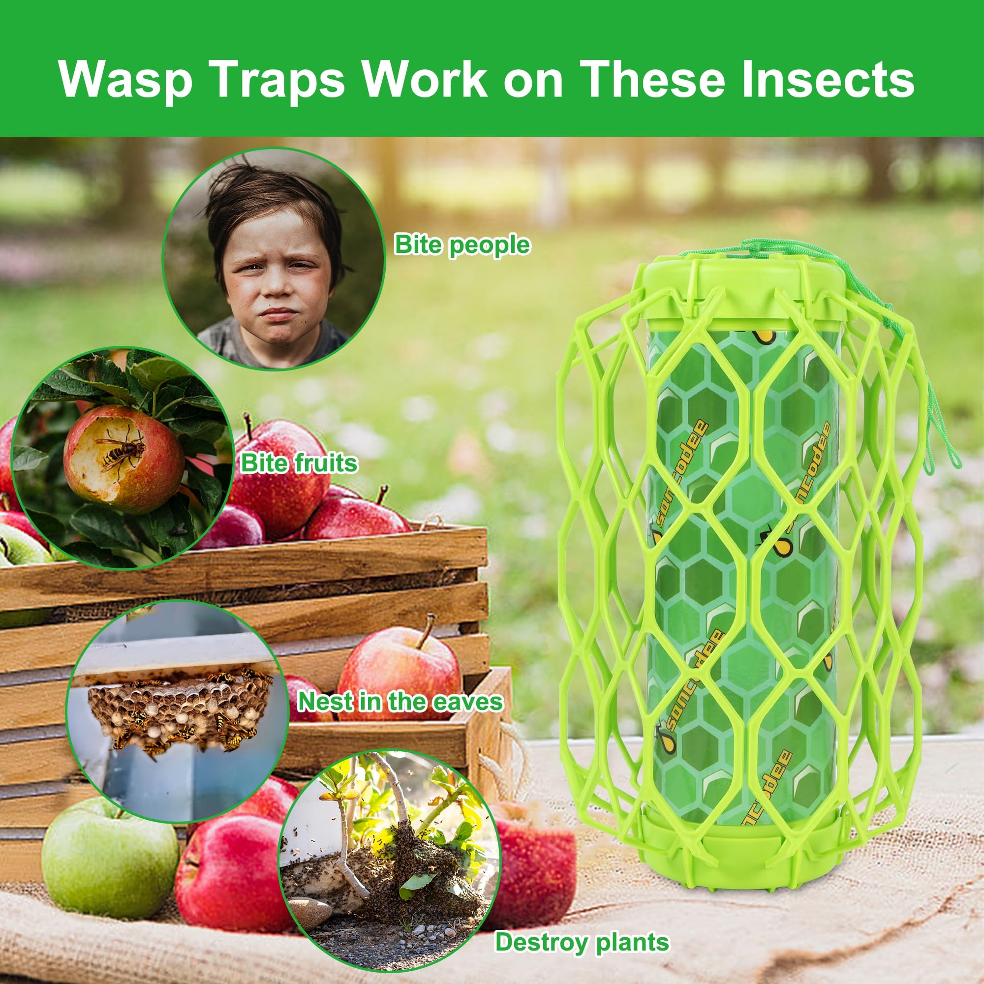 Sancodee four traps stacked in pack illustrating kit contents and ready-to-deploy convenience