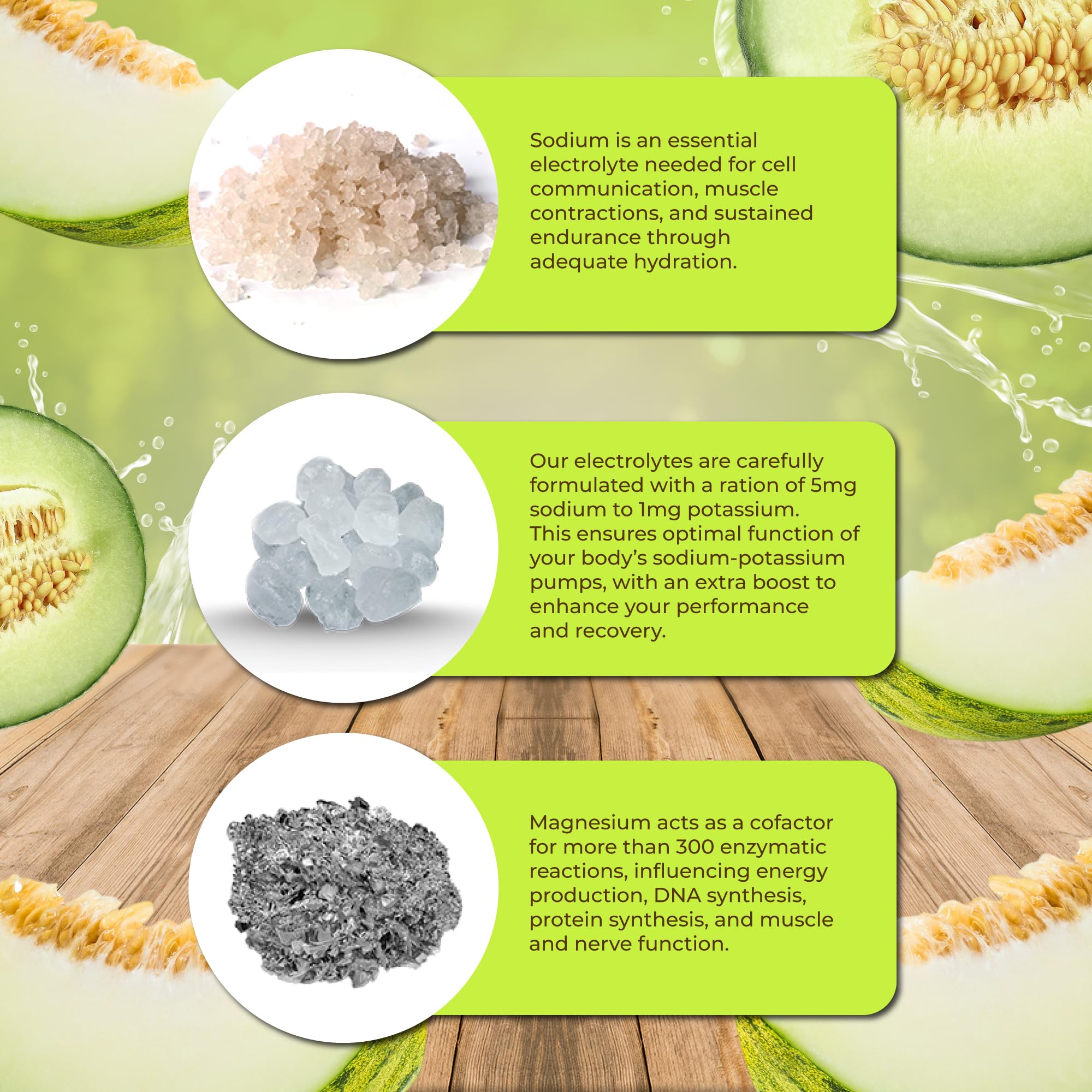 Santa Cruz Paleo closeup label showing salts and minerals for transparent sourcing