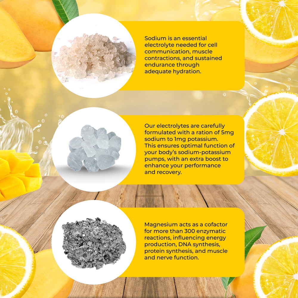 Santa Cruz Paleo scoop and powder staged to show single serving visual