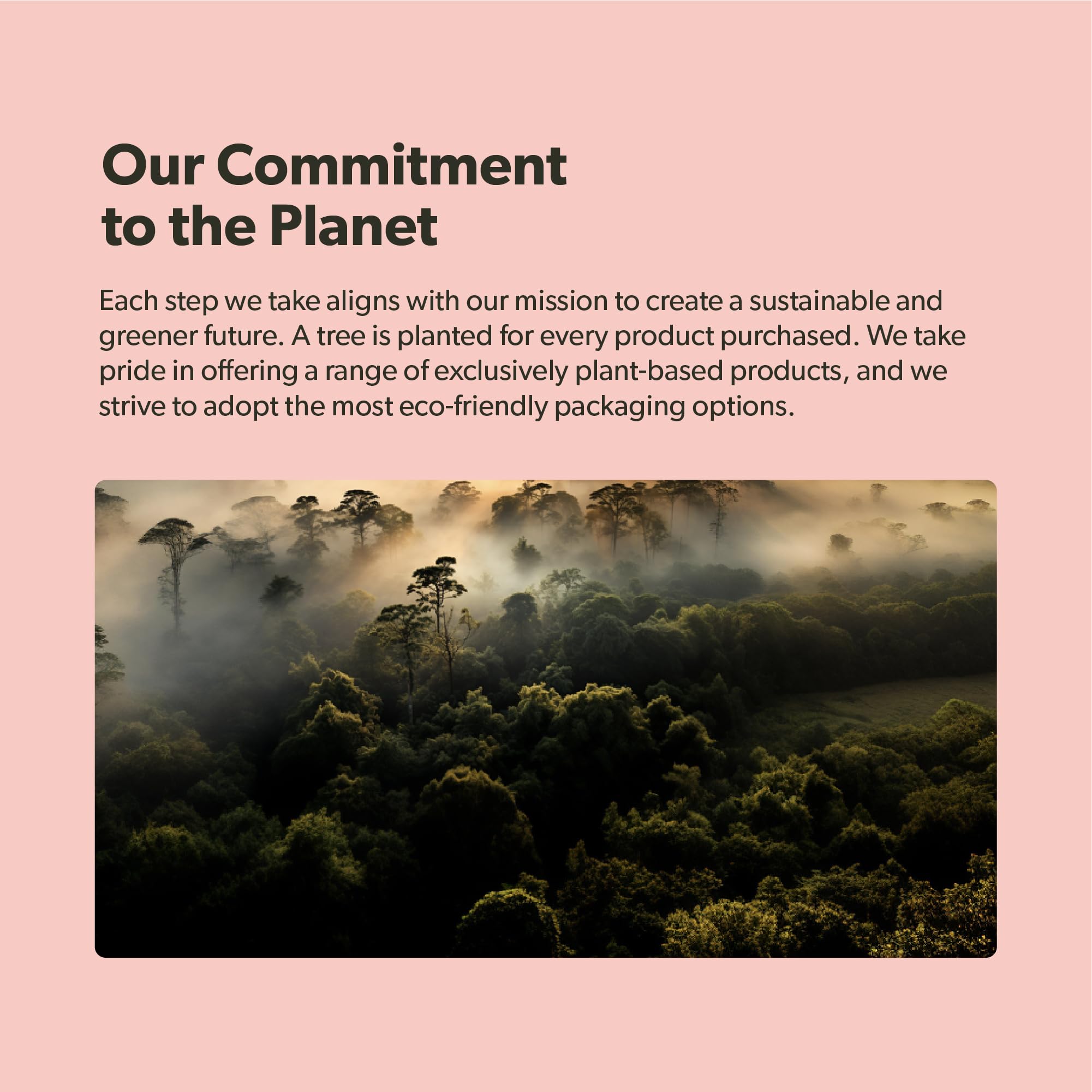 sapling eco tree planting visual showing brand sustainability and environmental impact