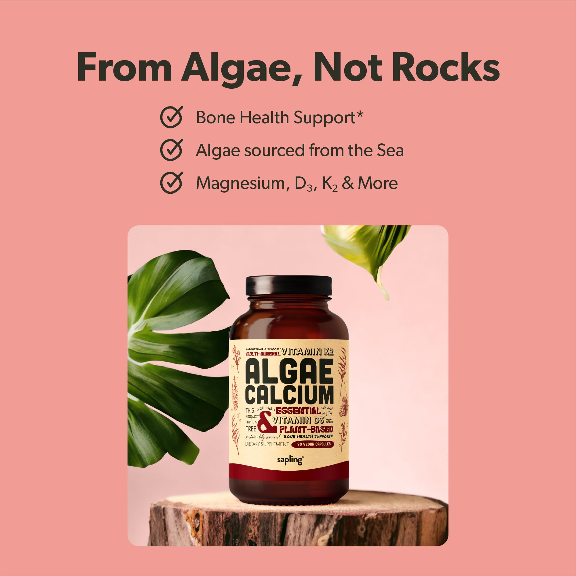 sapling red algae raw ingredient photo showing sustainable mineral source benefit