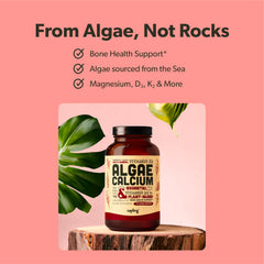 sapling red algae raw ingredient photo showing sustainable mineral source benefit