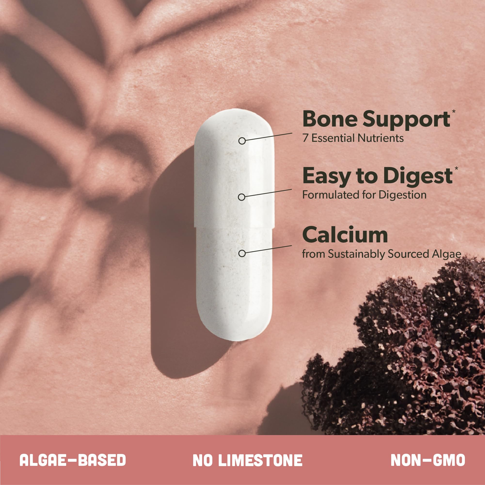 sapling supplement facts label view showing ingredient transparency and dosing