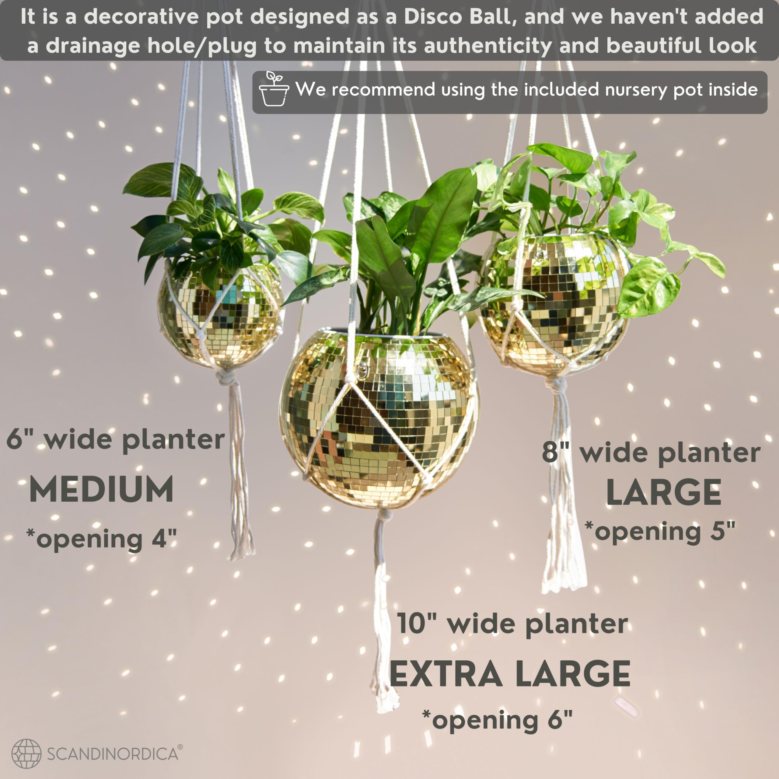 SCANDINORDICA removable insert pot detail showing drainage convenience and plant care