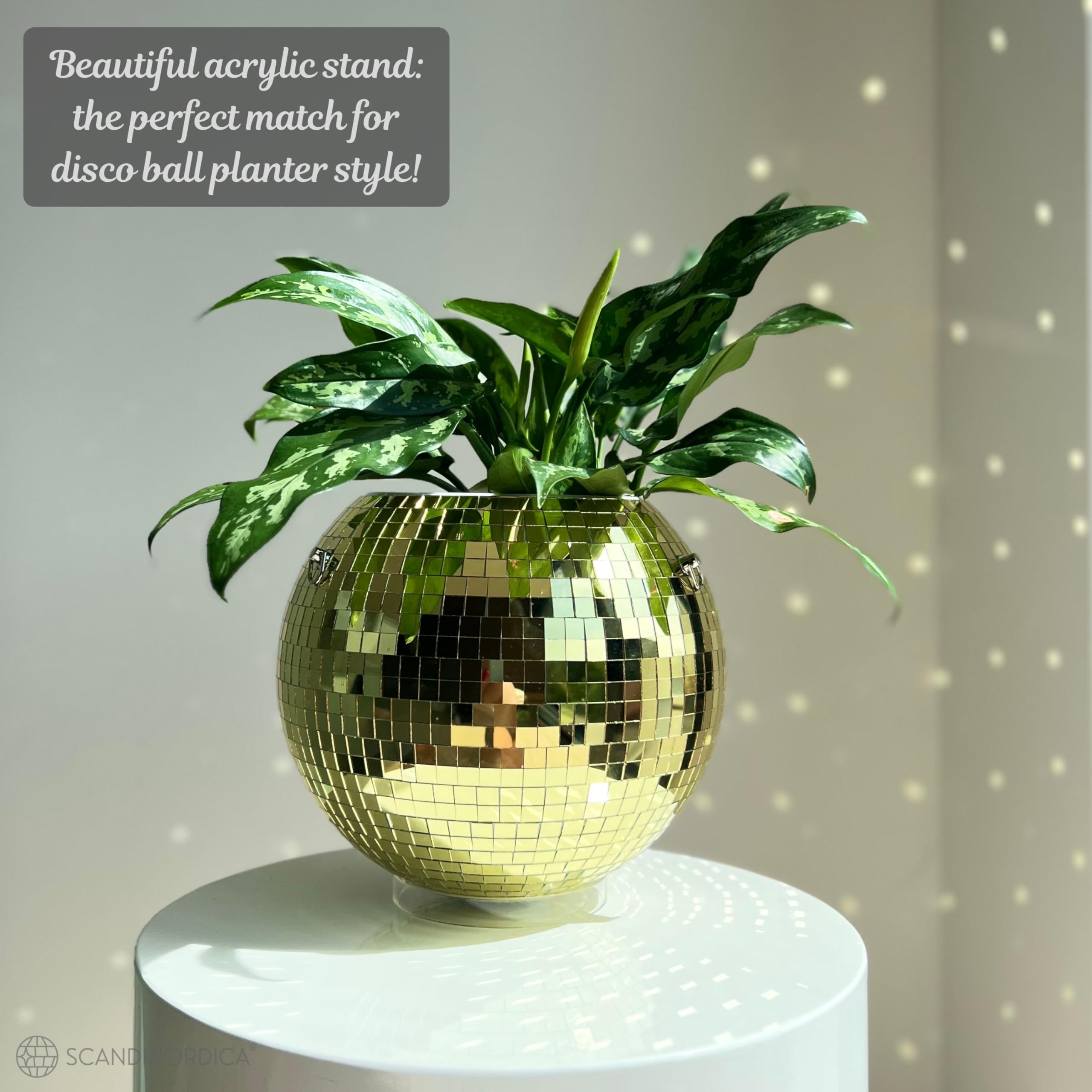SCANDINORDICA planter hanging by a window creating reflected light and decorative ambiance
