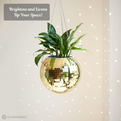 SCANDINORDICA planter on acrylic stand showing stable tabletop styling benefit