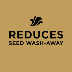 Scotts EZ Seed applied to a bare lawn spot demonstrating simple repair process