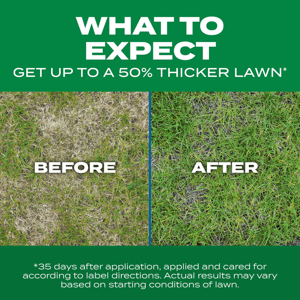 Scotts close-up of lush grass texture demonstrating improved turf strength