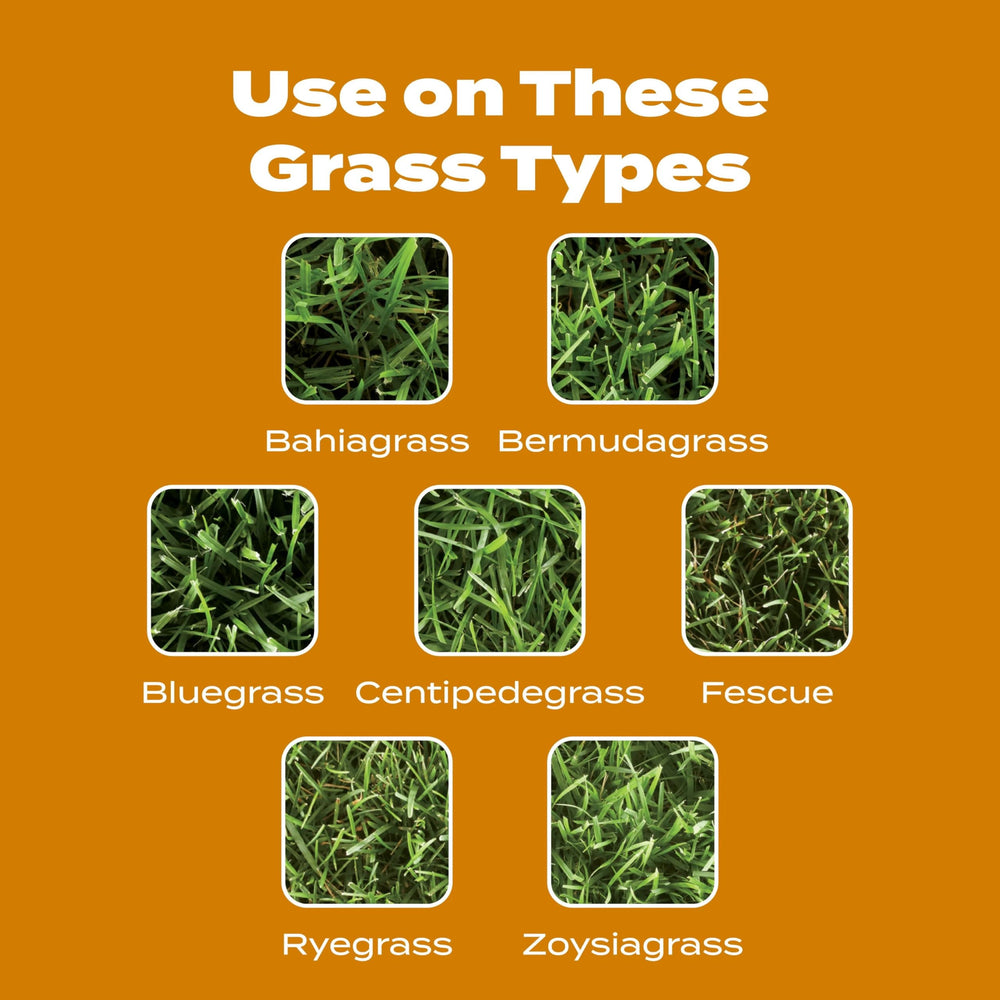 Scotts WinterGuard before and after lawn comparison demonstrating weed reduction benefit
