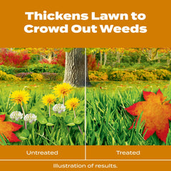 Scotts-treated lawn after application showing reduced weeds and greener turf