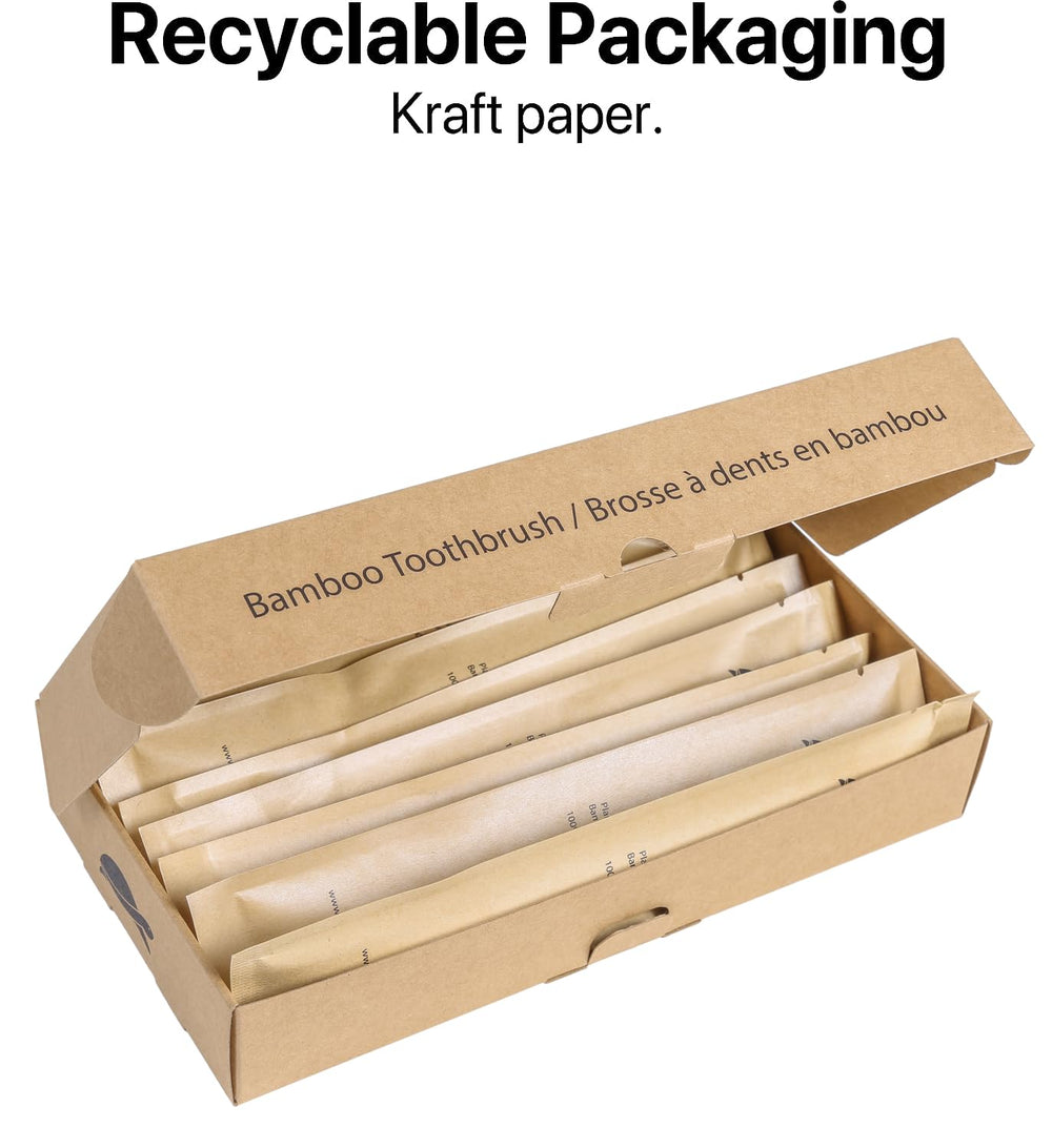 Sea Turtle individually sealed toothbrushes for hygienic travel